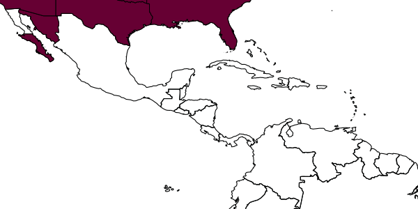map of Paratetracnemoidea americana     Gordh, 1985